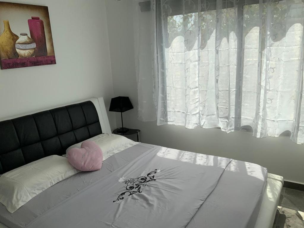 Villa Elie 埃拉特 外观 照片